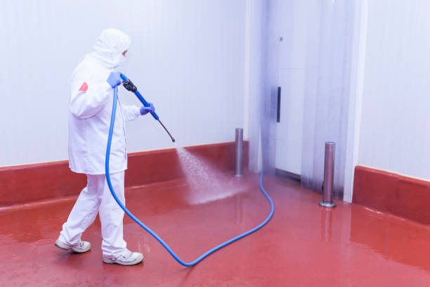 Spring Cleaning in Guttenberg, IA