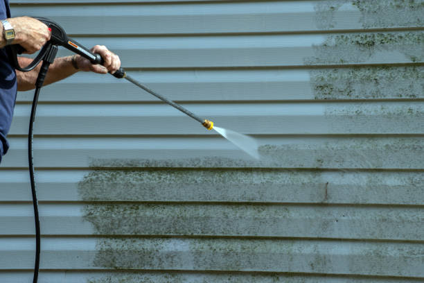 Best House Exterior Washing  in Guttenberg, IA