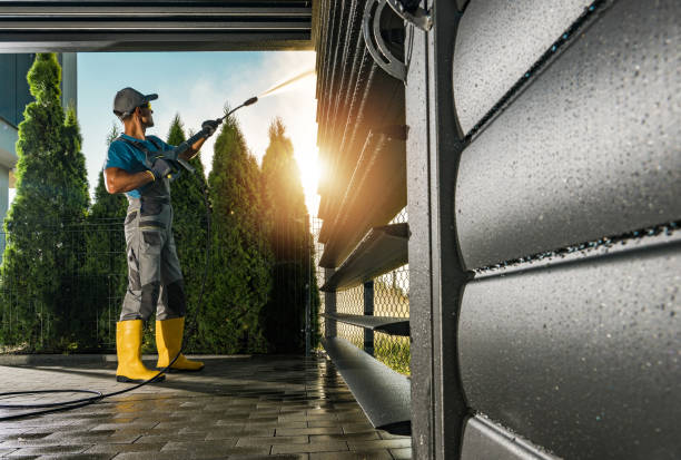 Best Driveway Pressure Washing  in Guttenberg, IA